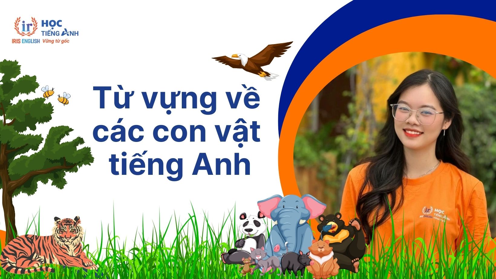 Từ vựng về các con vật tiếng Anh