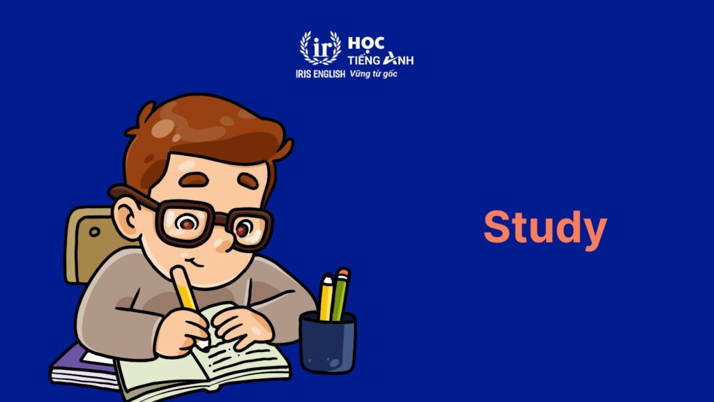 Các từ vựng tiếng Anh về trường học: Các hoạt động trong trường học