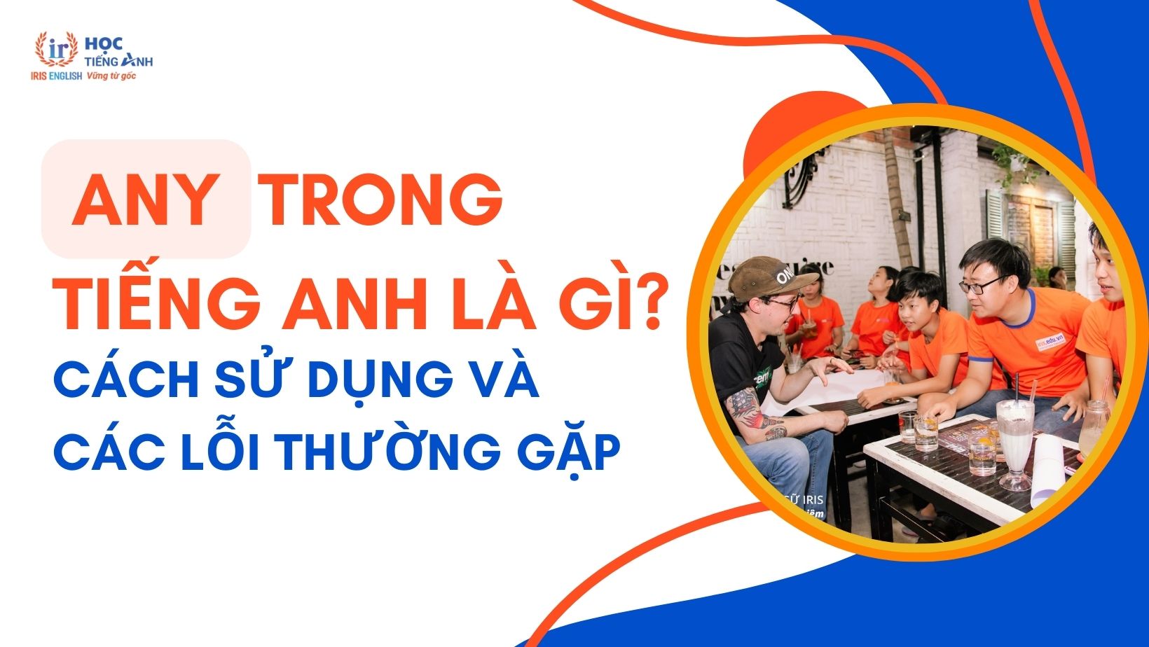 any-trong-tieng-anh-la-gi-cach-su-dung-va-cac-loi-thuong-gap