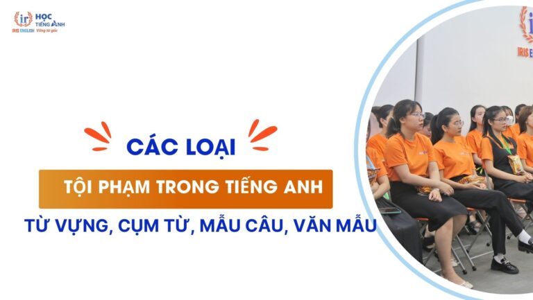 cac-loai-toi-pham-trong-tieng-anh-tu-vung-cum-tu-mau-cau-van-mau