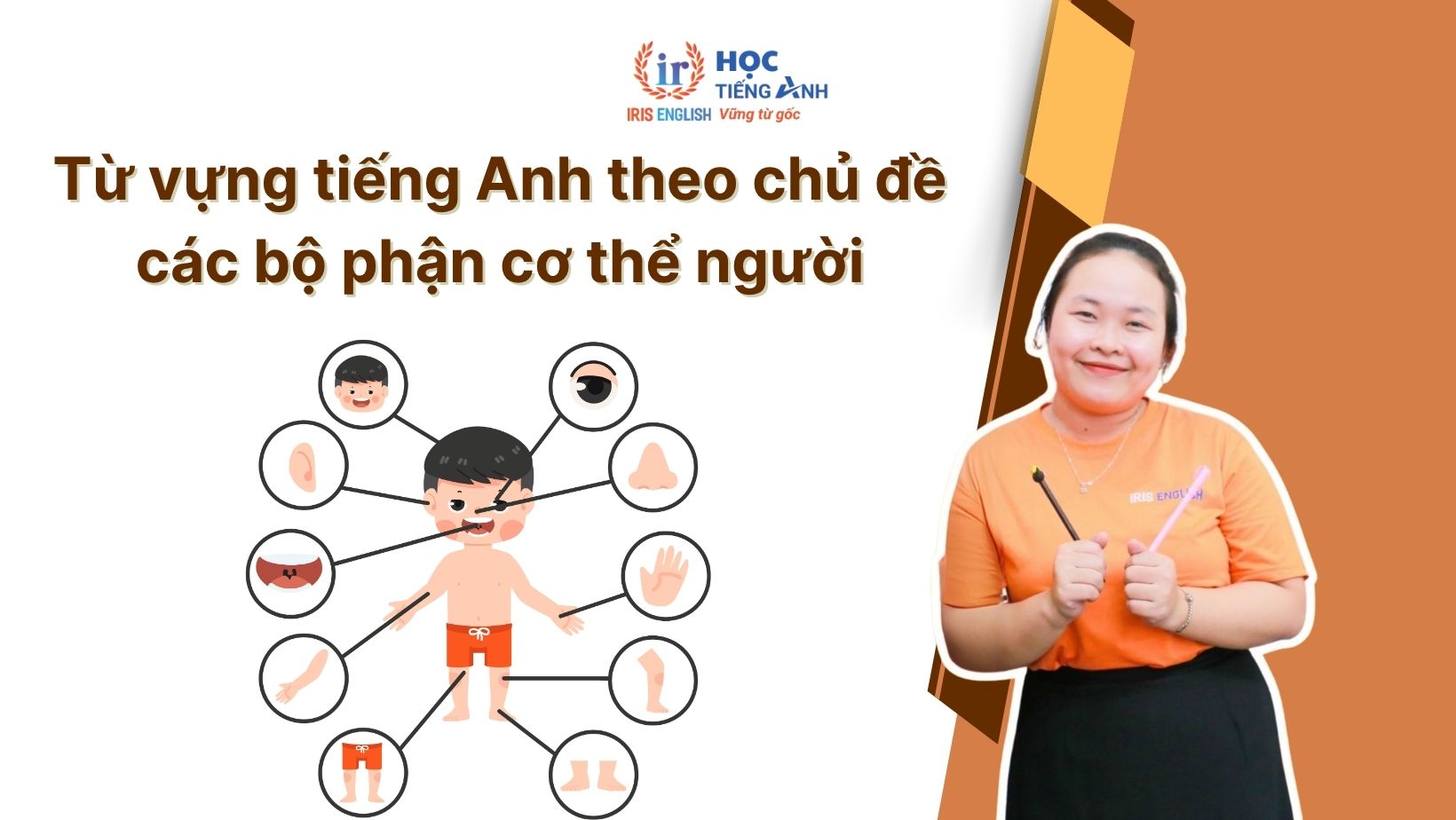 Từ vựng tiếng Anh cho trẻ mầm non theo chủ đề các bộ phận cơ thể người