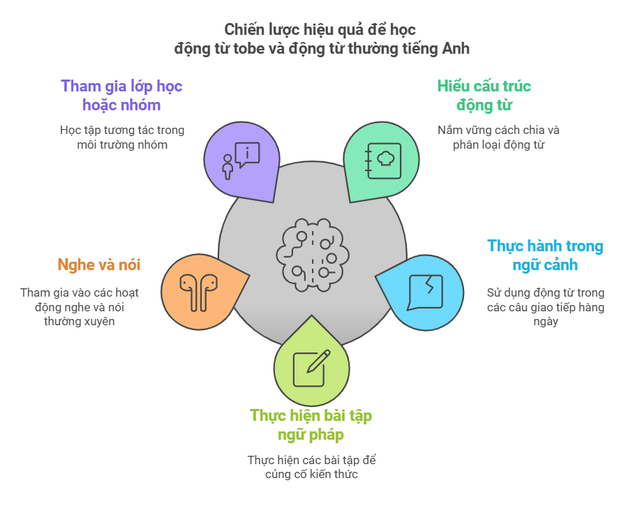 cach-hoc-dong-tu-tobe-va-dong-tu-thuong-tieng-anh