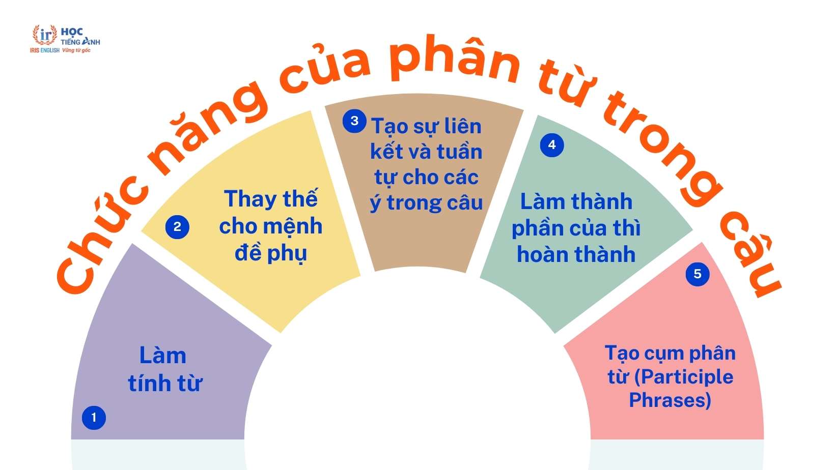 chuc-nang-cua-phan-tu-trong-tieng-anh
