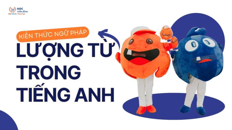 luong-tu-trong-tieng-anh-la-gi-phan-loai-cach-dung-va-bai-tap