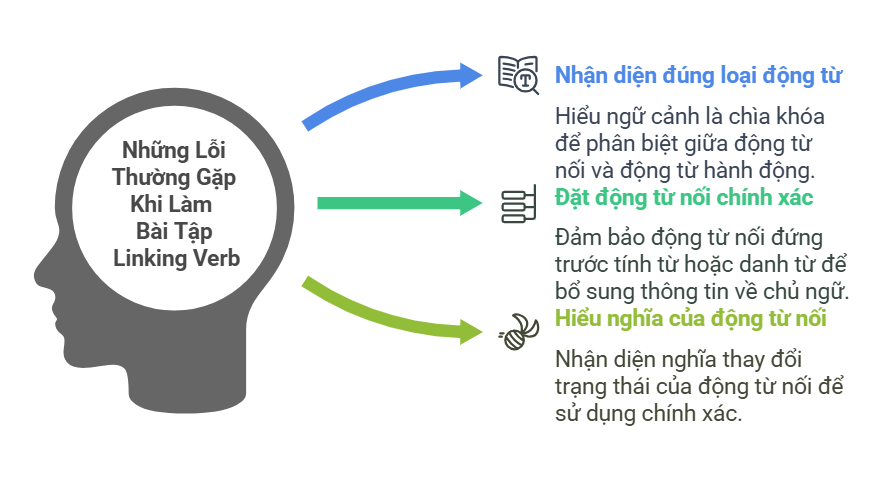 Những Lỗi Thường Gặp Khi Làm Bài Tập Linking Verb
