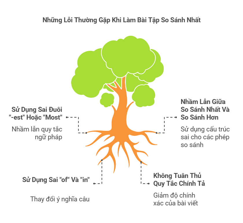  Những lỗi thường gặp khi làm bài tập so sánh nhất 