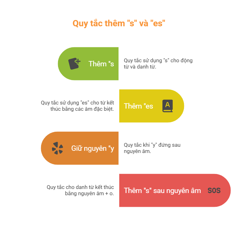 Bài tập phát âm s es
