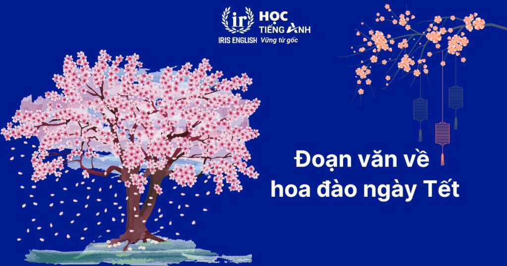 Đoạn văn viết về Tết bằng tiếng Anh số 5: Hoa đào ngày Tết