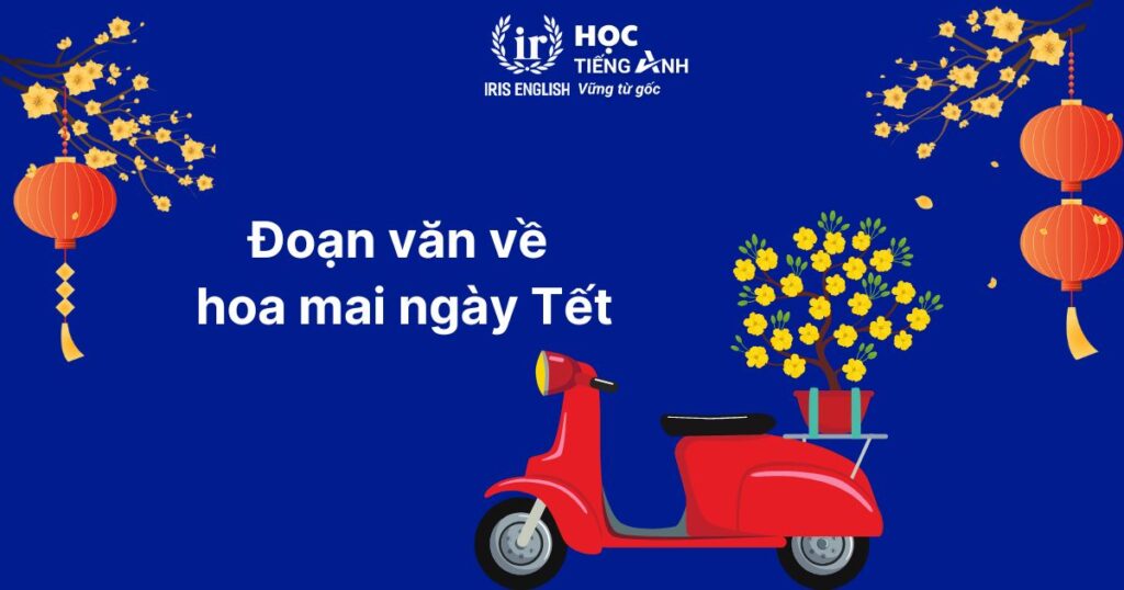 Đoạn văn viết về Tết bằng tiếng Anh số 7: Hoa mai ngày Tết