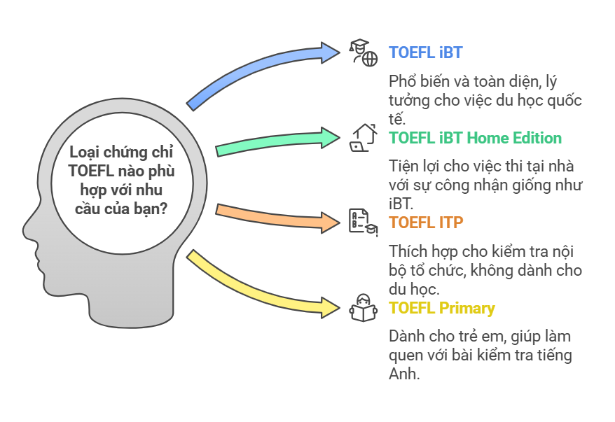 Các loại chứng chỉ TOEFL phổ biến - visual selection