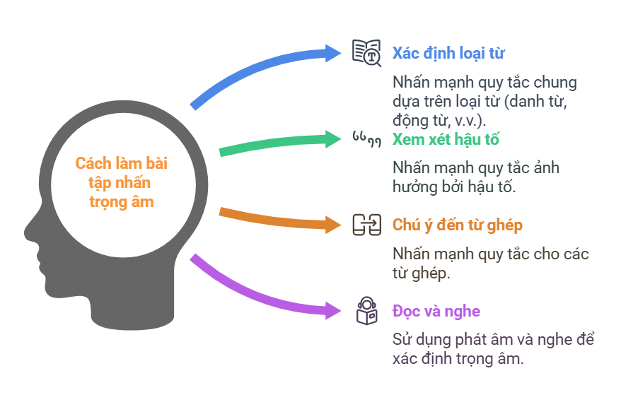 Cách làm bài tập nhấn trọng âm - visual selection