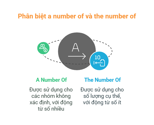 Phân biệt a number of và the number of - visual selection