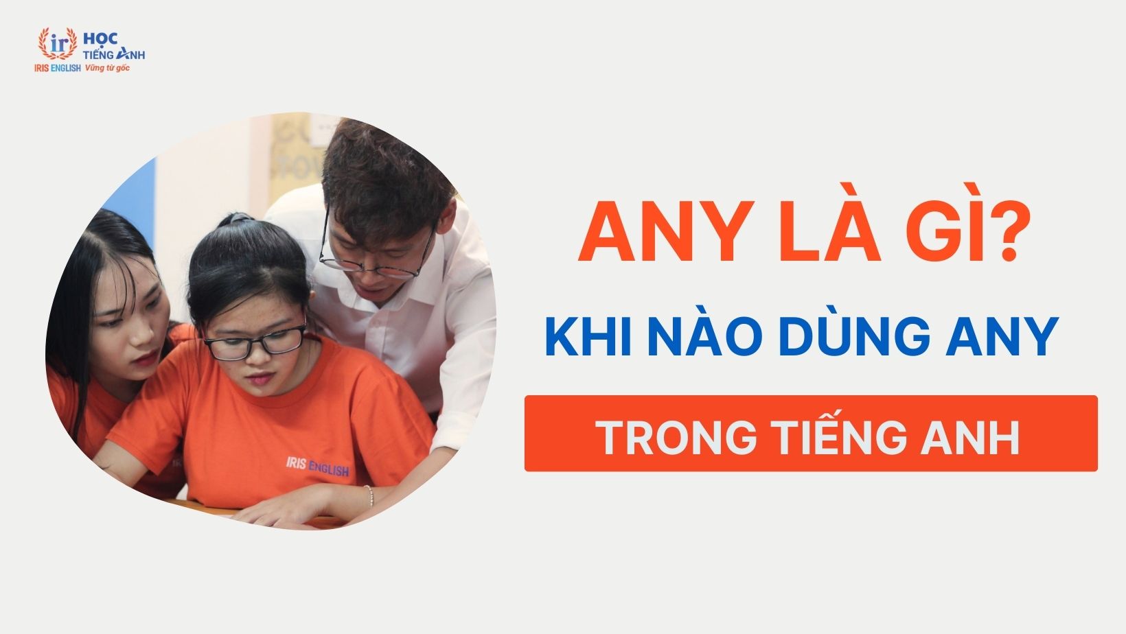 any-la-gi-khi-nao-dung-any-trong-tieng-anh