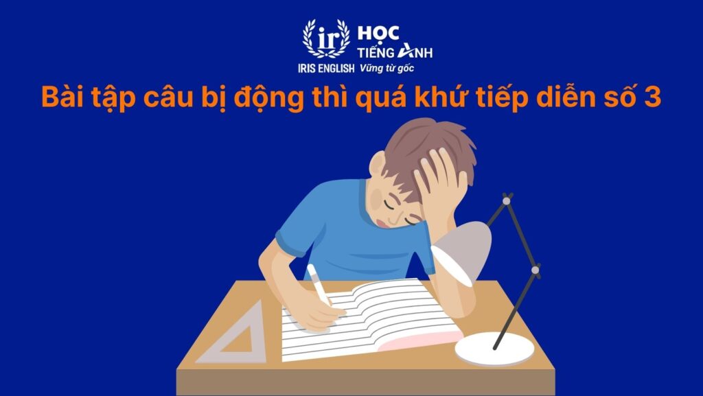Bài tập câu bị động thì quá khứ tiếp diễn số 3: Sửa lỗi sai