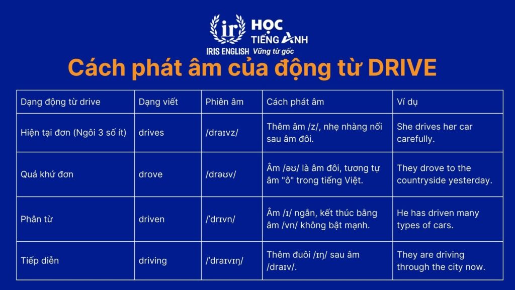 Hướng dẫn cách phát âm của động từ drive
