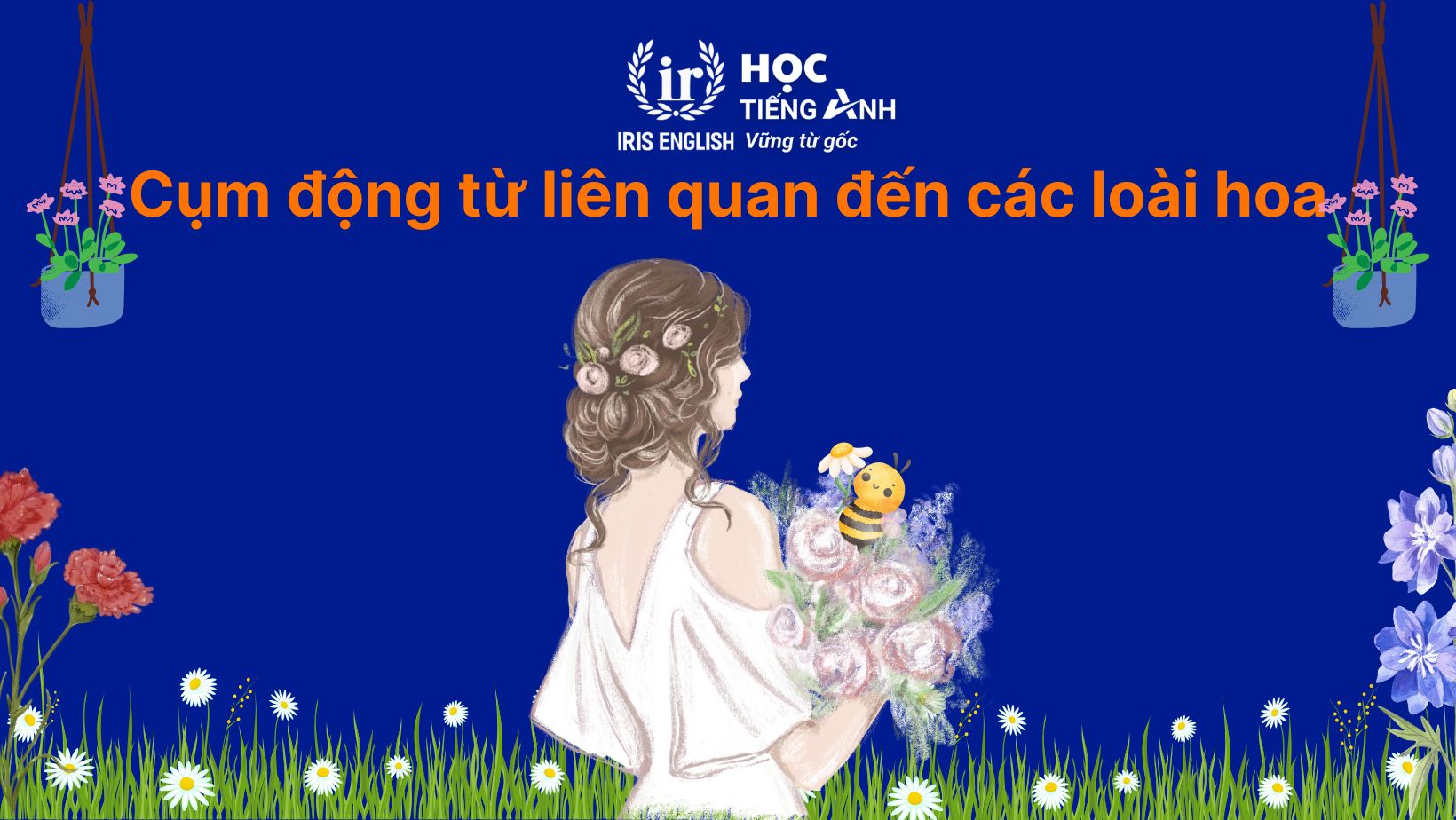 Cụm động từ liên quan đến các loài hoa