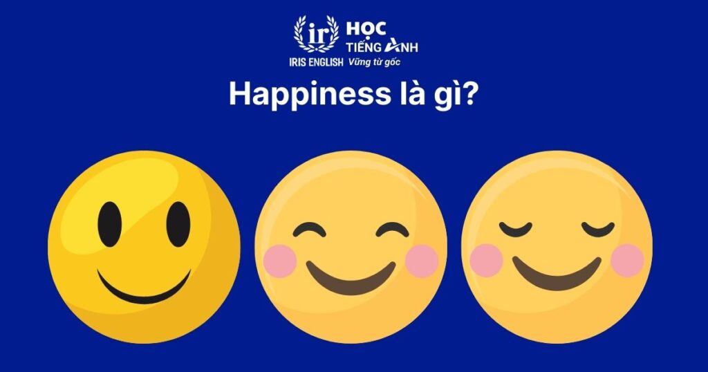 Happiness là danh từ đếm được hay không đếm được?