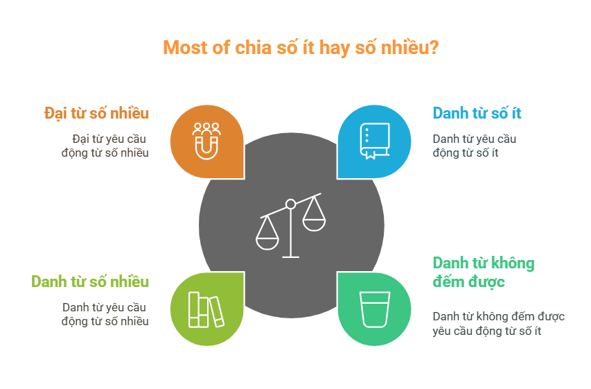 Most of chia số ít hay số nhiều?