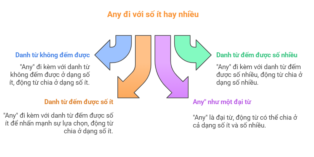 Any đi với số ít hay số nhiều trong tiếng Anh - visual selection