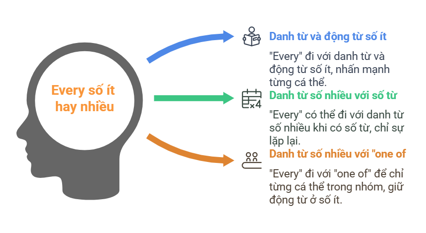 Every đi với số ít hay nhiều