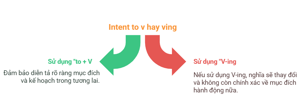 Intend to v hay ving? Cách sử dụng đúng và ví dụ dễ hiểu