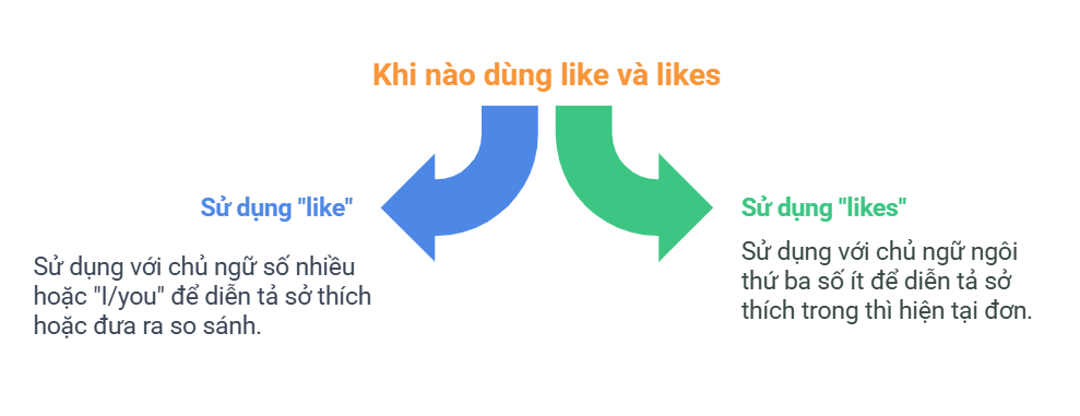 Khi nào dùng like và likes? Hướng dẫn và bài tập thực hành