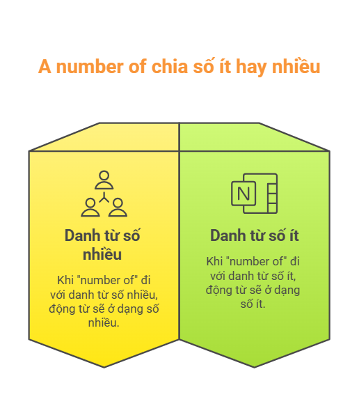 Number of chia số ít hay số nhiều