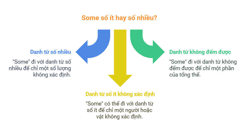 Some đi với danh từ số ít hay số nhiều_ - visual selection