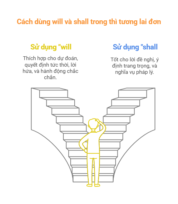 Cách dùng will và shall trong thì tương lai đơn - visual selection