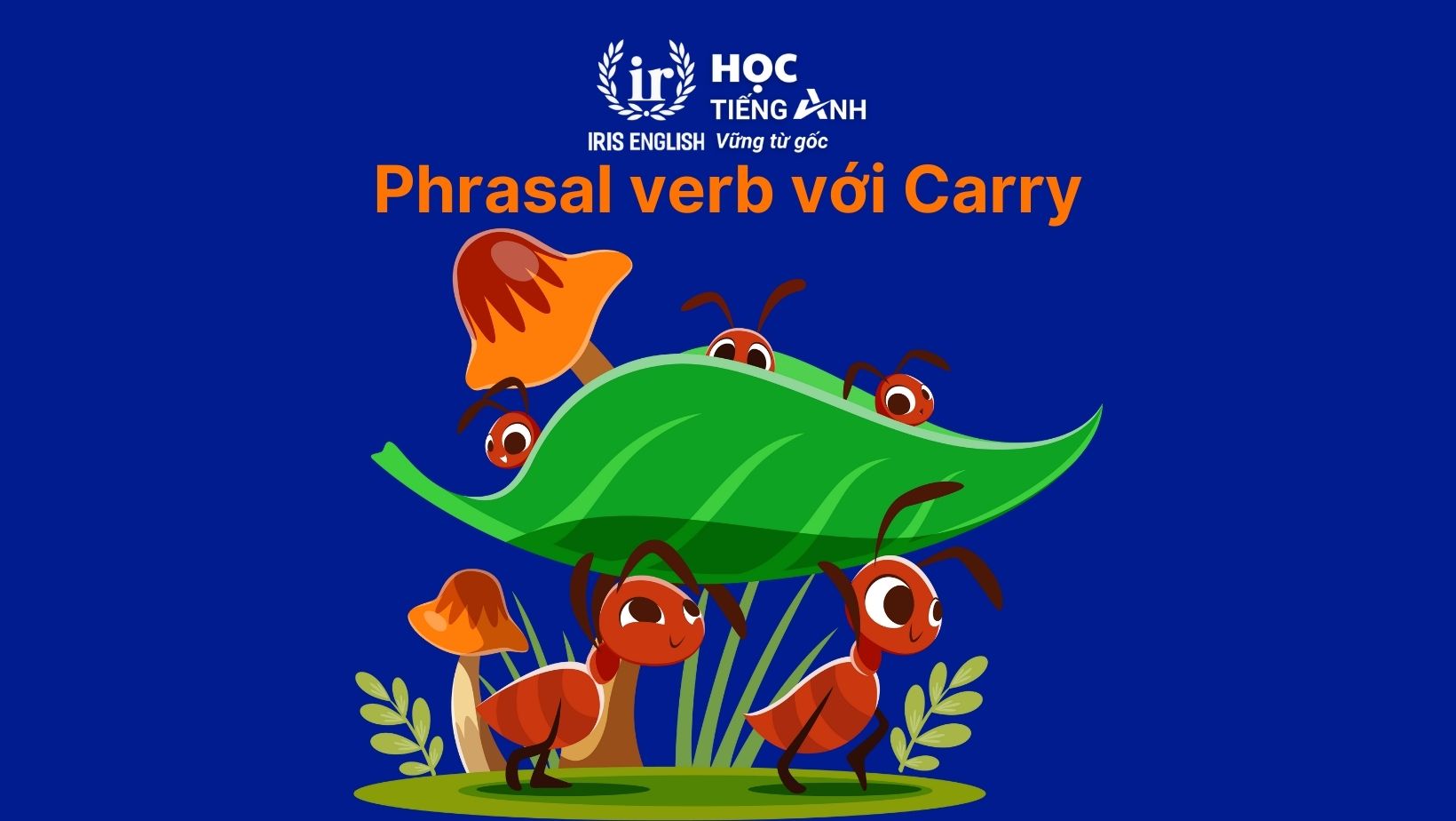 Phrasal verb với Carry