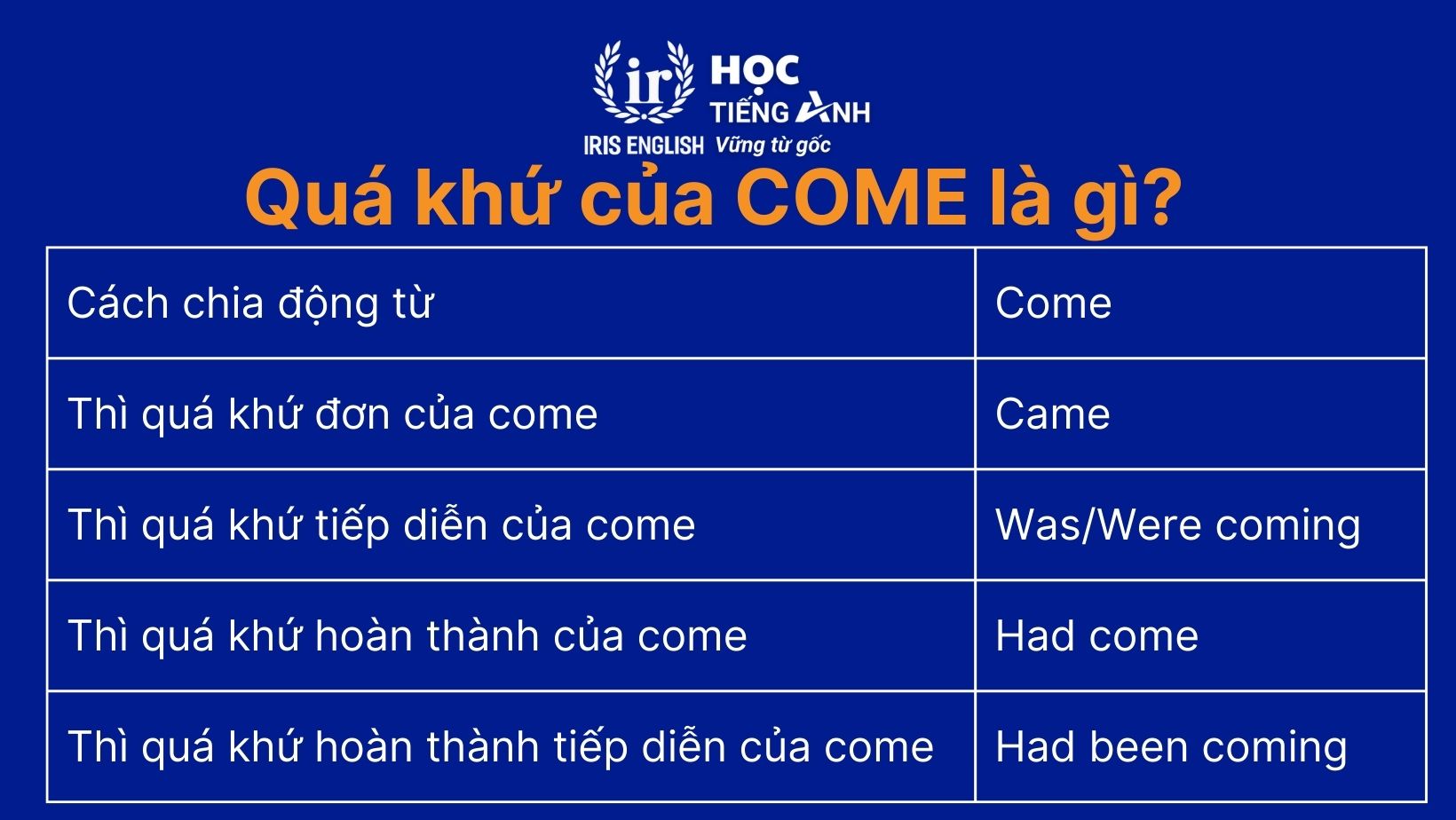 Quá khứ của động từ come là gì?