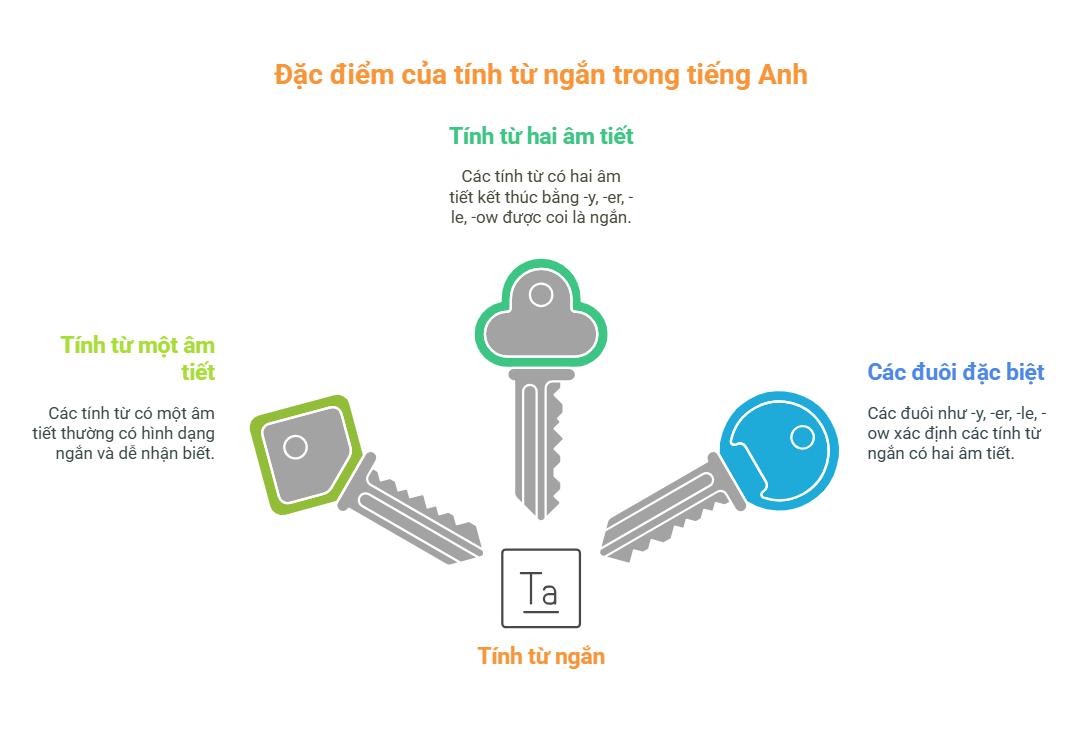 Đặc điểm của tính từ ngắn trong tiếng Anh 