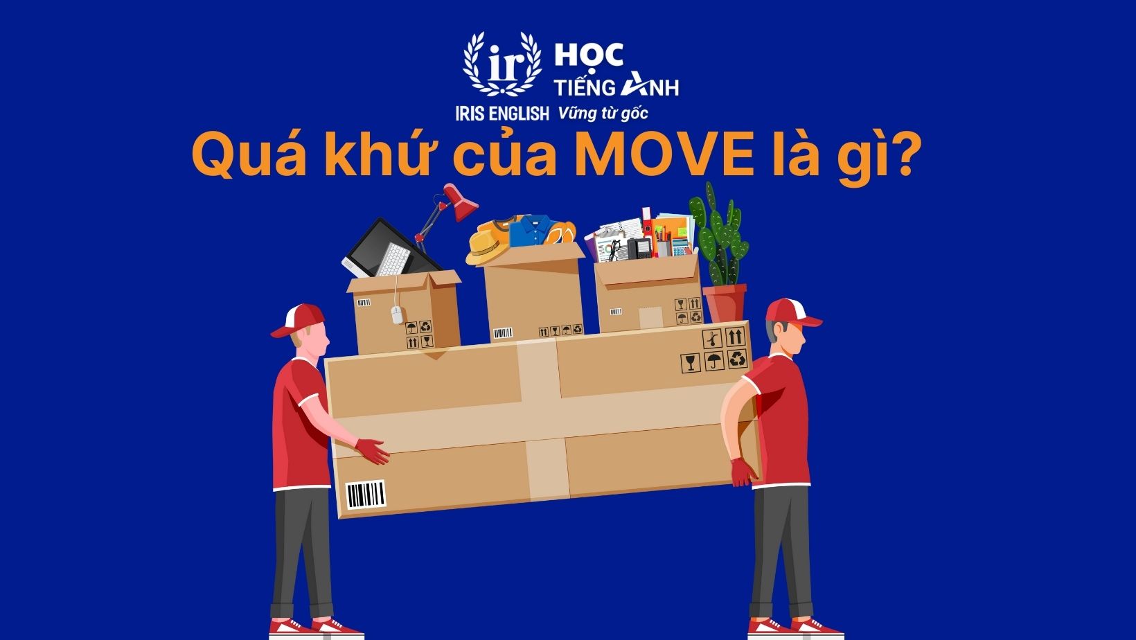 Quá khứ của move là gì?