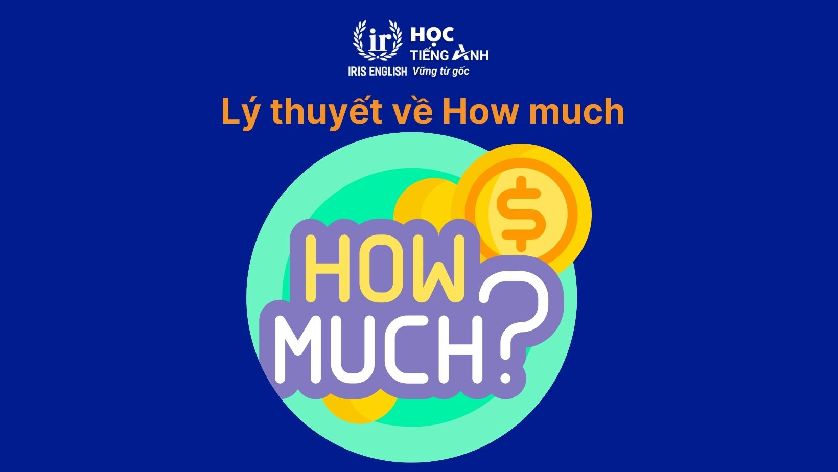 Tổng hợp lý thuyết về How much