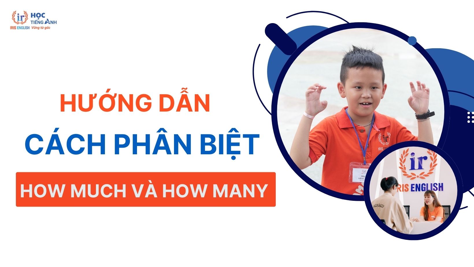 huong-dan-cach-phan-biet-how-much-va-how-many