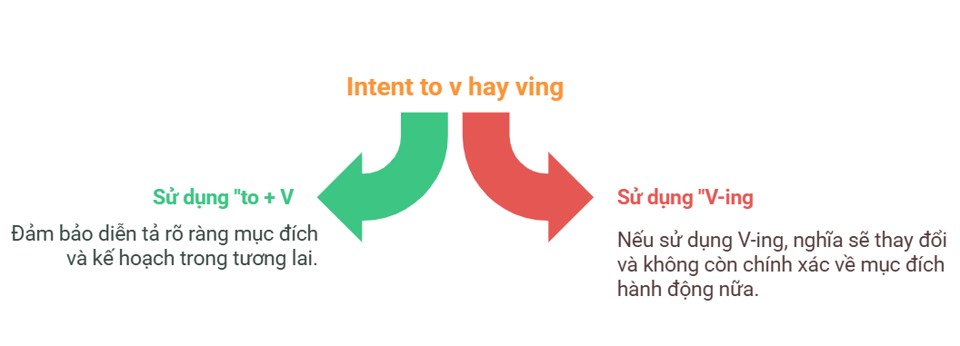 Intend to v hay ving