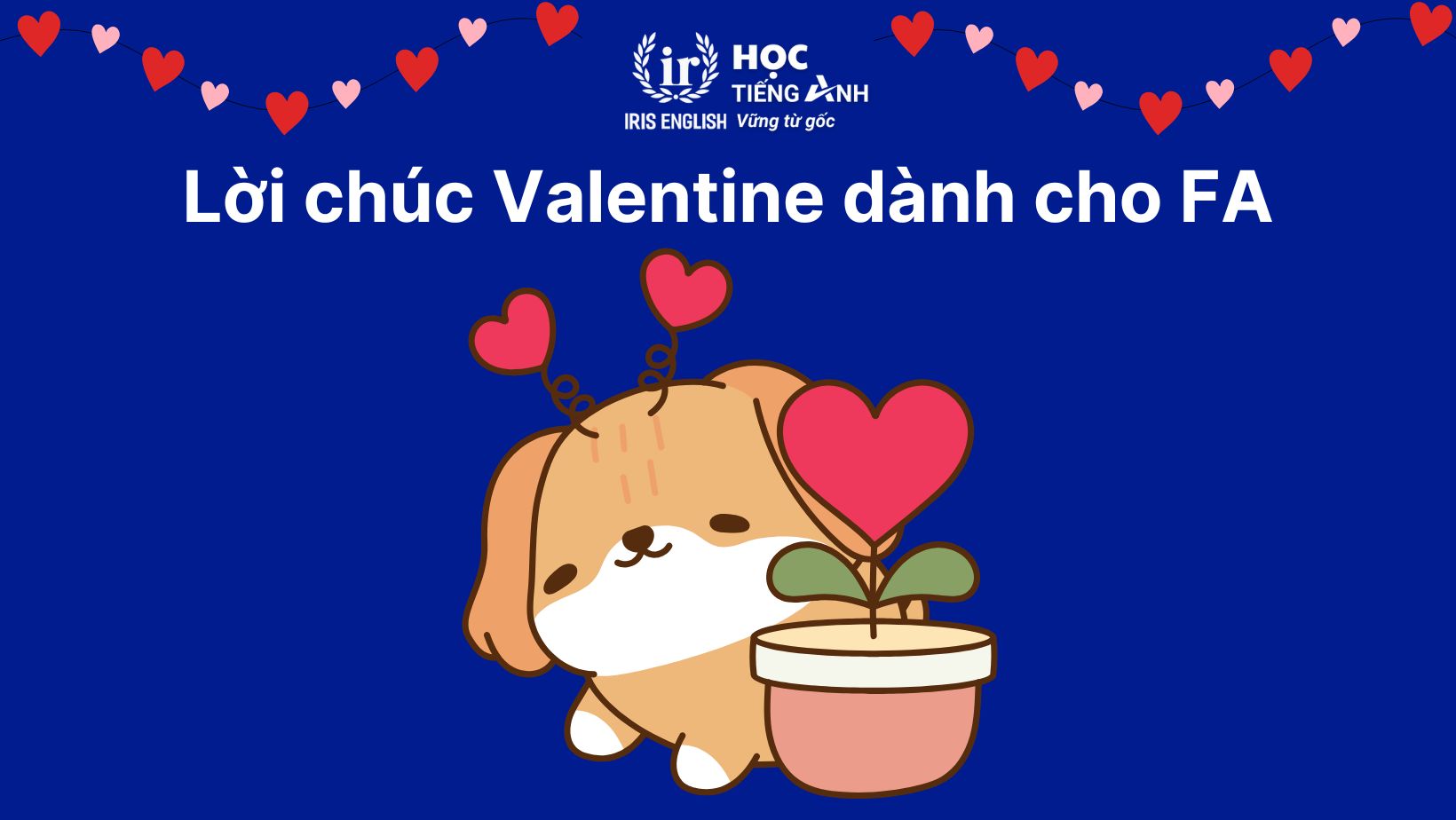 Lời chúc Valentine dành cho FA