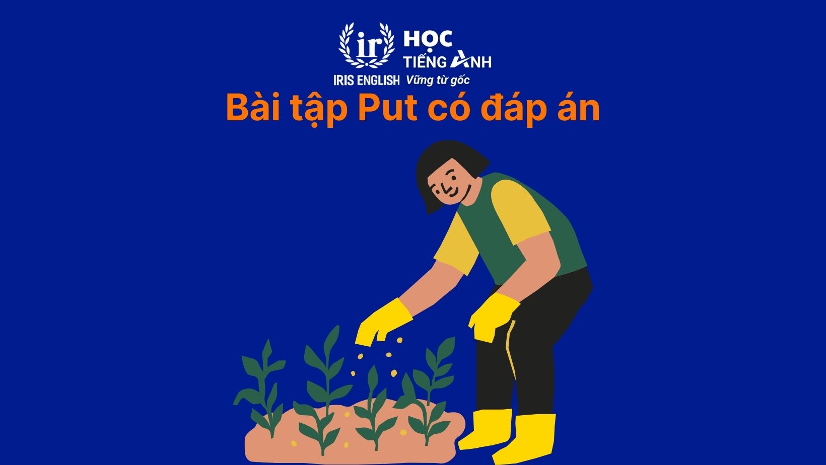 Bài tập Put + gì có đáp án