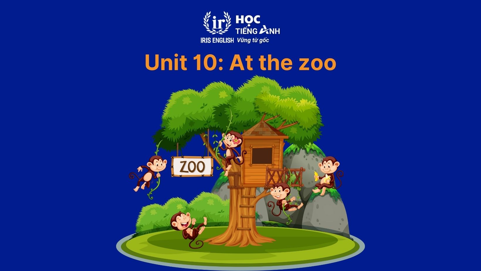 Từ vựng tiếng Anh lớp 1 Unit 10: At the zoo