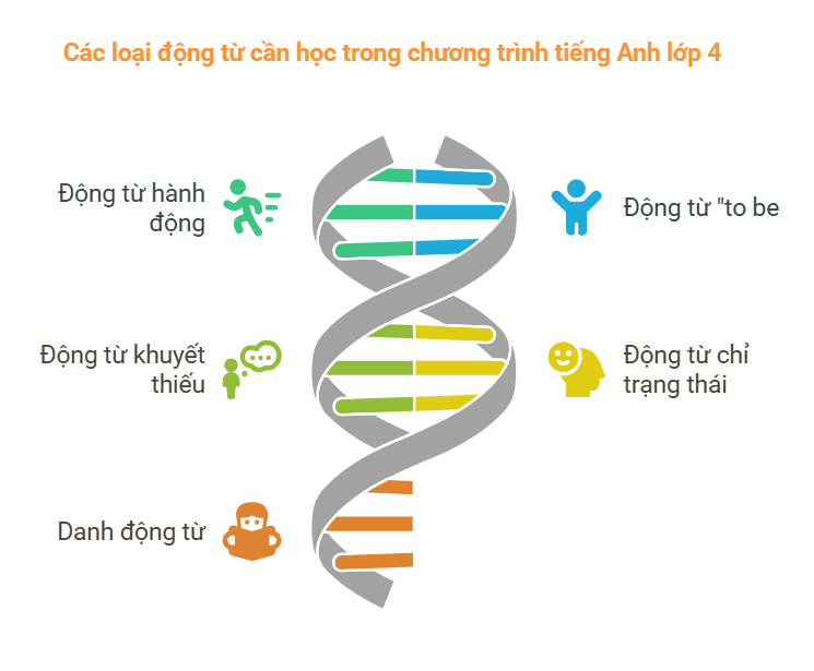 Các loại động từ cần học trong chương trình tiếng Anh lớp 4, Bài tập về động từ lớp 4