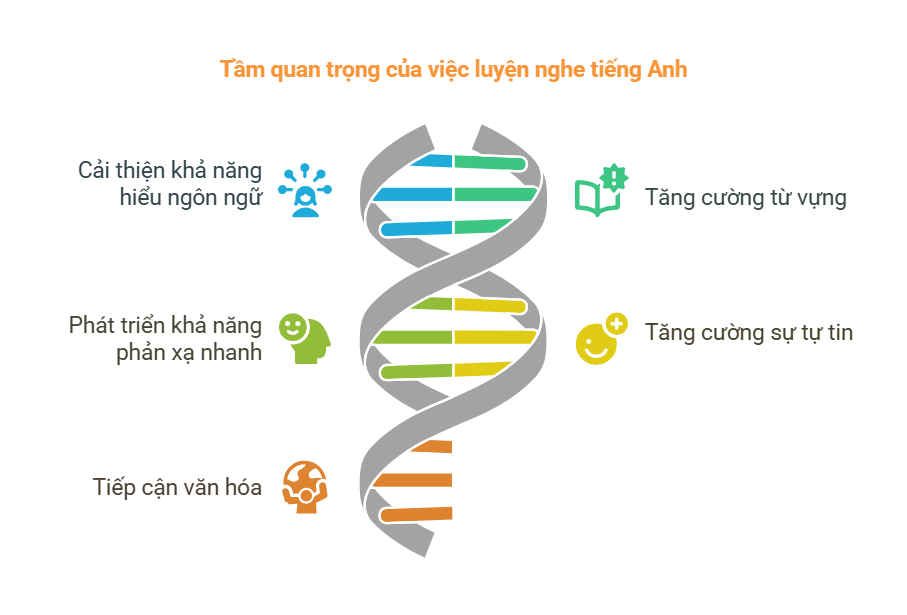 25+ bài test nghe tiếng Anh hiệu quả giúp nâng cao kỹ năng nhanh chóng