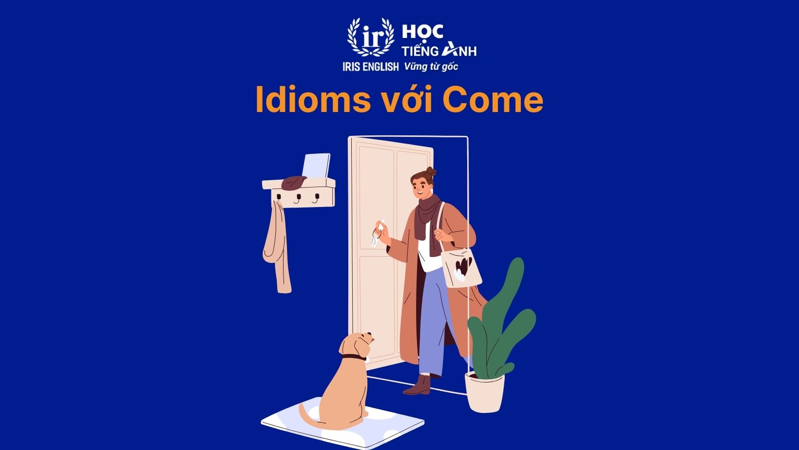 Idioms với Come