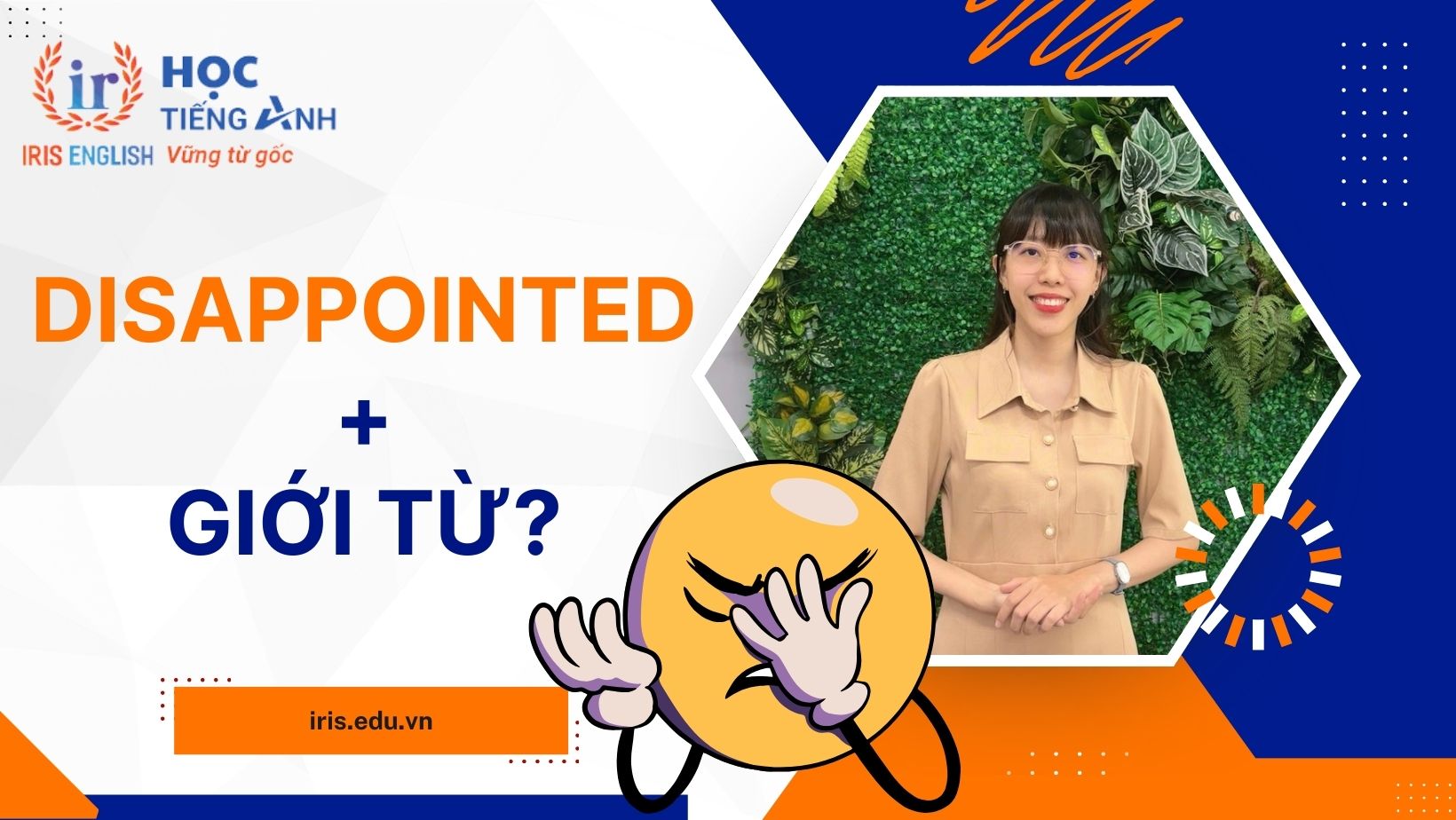 Disappointed đi với giới từ gì?