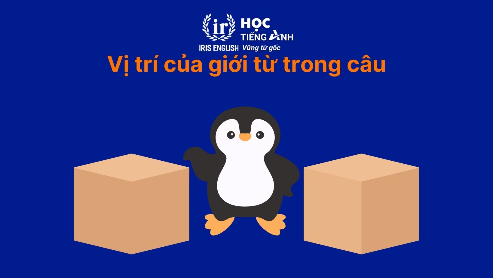 Vị trí của giới từ trong câu