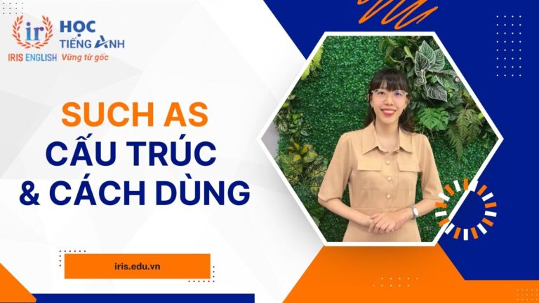 Such as là gì? Cấu trúc, cách dùng Such as trong tiếng Anh