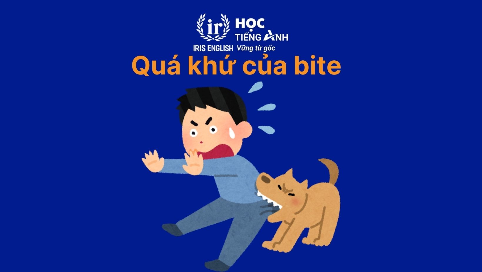 Quá khứ của bite