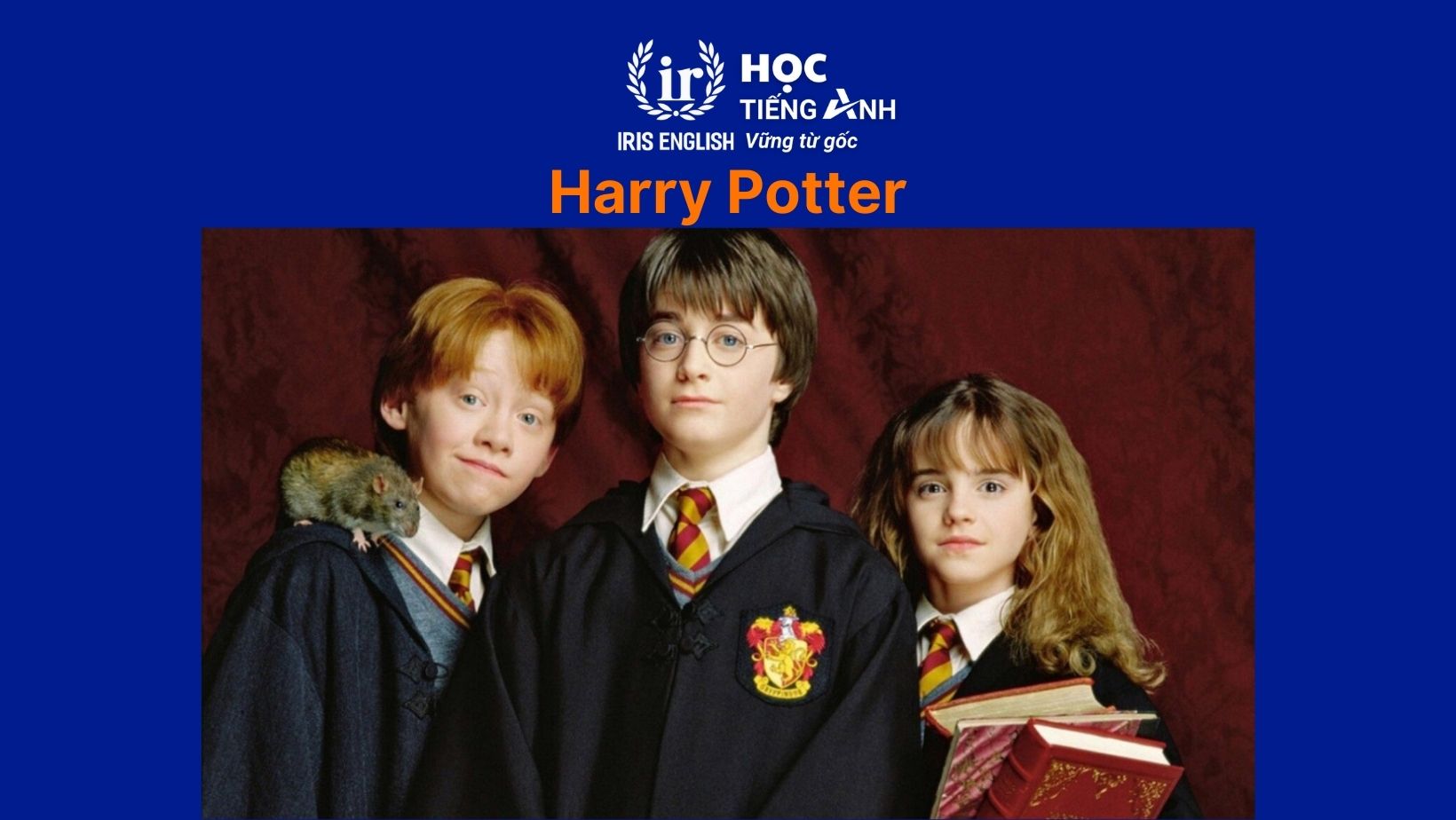 Đoạn văn về bộ phim em yêu thích bằng tiếng Anh - Harry Potter