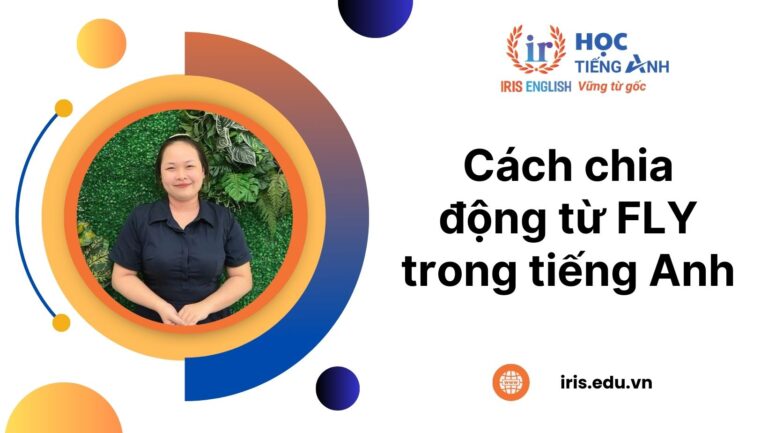 Hướng dẫn chia động từ fly đầy đủ, dễ hiểu nhất