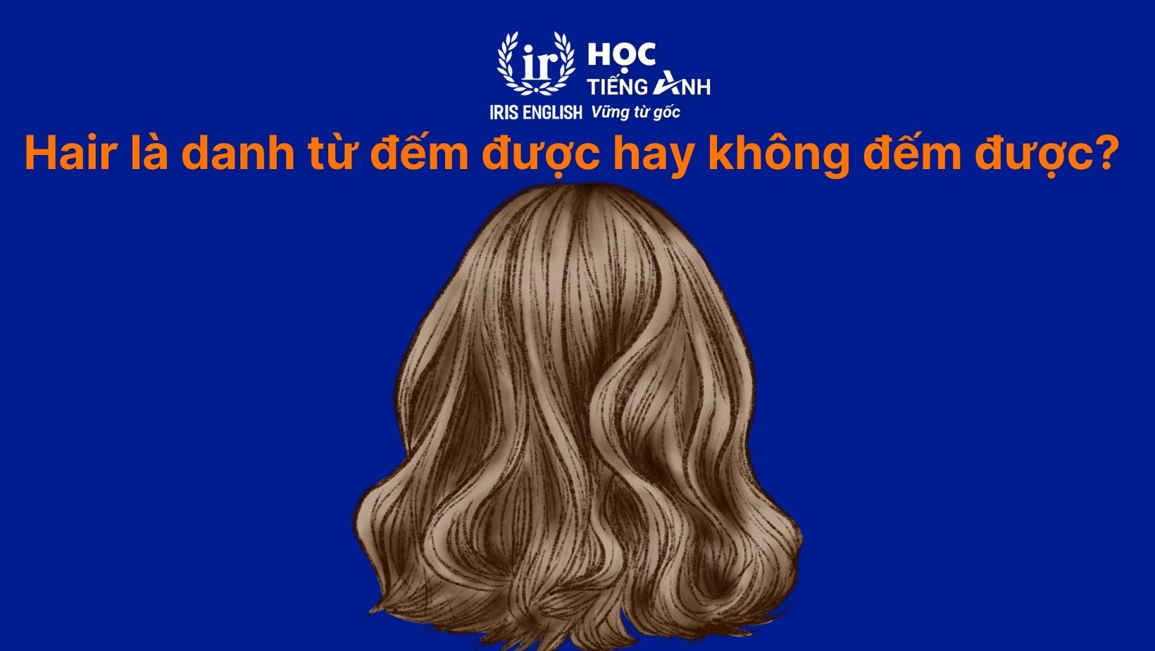 Hair là danh từ đếm được hay không đếm được?