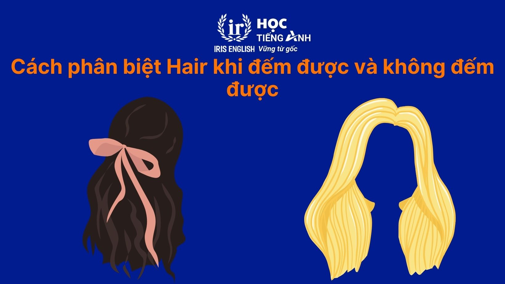 Cách phân biệt Hair khi đếm được và không đếm được